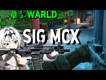 草ぼーぼーWORLD #29【Gray Zone Warfare】
