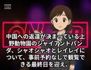 本日2025【１２月２１日】のニュース