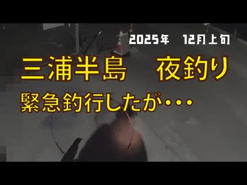 三浦半島　夜釣り　今年12回目の釣行　2025年 12月上旬