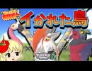 【ポケモンZA】鶏と子猫の格闘統一【ゆっくり実況】16撃目