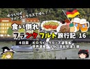 【ゆっくり】フランクフルト旅行記　16　世界遺産　ライン渓谷中流上部