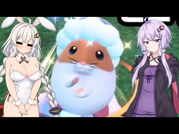 【カービィのエアライダー】ゆづきずエアライダー #13