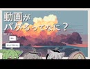 【日記】動画がバグるってなに？