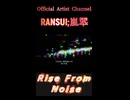 Rise From Noise
