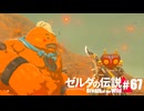 【ゆっくり実況】マスターモードで遊ぶブレワイ#67