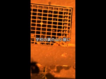「トレンド」上 / 日本少女幽霊feat.結月ゆかり