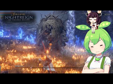 夜渡り上手ずんだもんたんDLC【ELDEN RING NIGHTREIGN The Forsaken Hollows】■6
