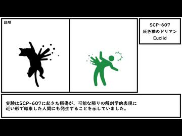 【ゆっくり紹介】SCP-607【灰色猫のドリアン】