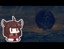 【ELDEN RING】ラウフの地で赤熊さんに出会ったきりたん【#19】