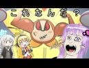 【カービィのエアライダー】こ　れ　な　ん　だ　？【VOICEROID実況】