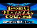 ◆日本のXBB対応mRNAワクチン検査でDNAとSV40配列が検出