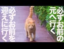 倒れたボス猫、その手でもっと生きてやる