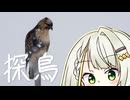 おさんぽつのせ～探鳥～