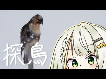 おさんぽつのせ～探鳥～