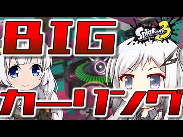 【Splatoon3】描いた色があせるまで#65【ソフトウェアトーク実況】