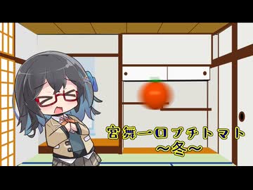 宮舞一口プチトマト 11粒目