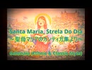 Santa Maria, Strela Do Dia【Galenaia×２, ethnic & classic style】【ボカクラクリスマス祭2025】