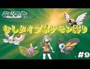 【ポケモン　エメラルド】　ポケモン最強の虫タイプで打倒ダイゴ！！　とらごろうの一人旅　part9