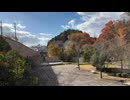 2025　1122　宮城県仙台市　台原森林公園　紅葉の風景　地下鉄旭ヶ丘駅付近
