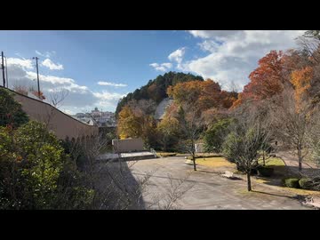 2025　1122　宮城県仙台市　台原森林公園　紅葉の風景　地下鉄旭ヶ丘駅付近