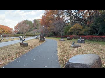 2025　1122　宮城県仙台市　台原森林公園　紅葉の風景2　科学館の下あたり