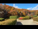 2025　1122　宮城県仙台市　台原森林公園　紅葉の風景3　池付近