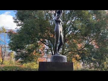 2025　1122　宮城県仙台市　台原森林公園　紅葉の風景5　池付近3