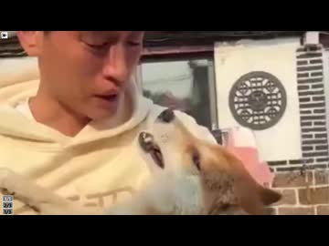 ホモと見るペットの柴犬を毒餌で殺され号泣する飼い主