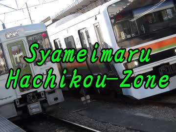 Shameimaru Hachikou Zone