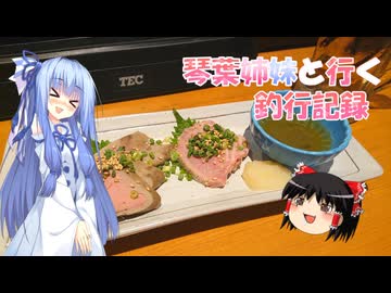 琴葉姉妹と行く釣行記録（車載編part36 74）