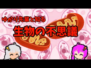 【VOICEROID解説】ゆかり先輩と知る生物の不思議【細胞内共生説】