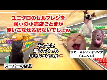 【ユニクロ セルフレジ】特許を無視してセルフレジ導入！？画期的すぎるレジが他業種で導入されない理由 #猫マニ #猫ミーム