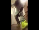 Cool negroid