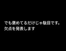 良いところ悪いところ