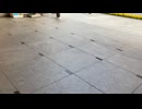 【エスカレーター2022】半蔵門線 三越前駅 A2出口三越新館 入り口へのエスカレーター2022_11_4