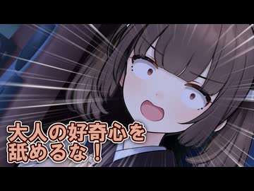 きりたんのサンタクロース捕獲作戦【VOICEVOX劇場】