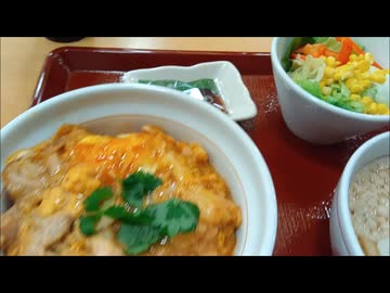 【なか卯】親子丼＆うどん、生野菜セット