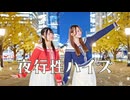 夜行性ハイズ 踊ってみた【きりまい】