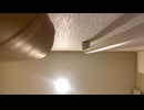 2025_1110_205458_(◞ ̫◟) 45
