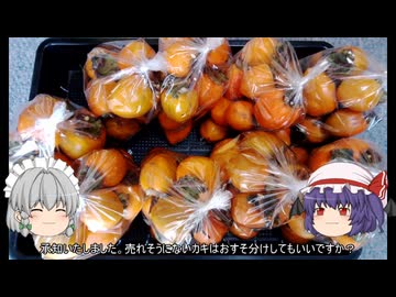 ゆっくり農民275海外出張に出かけてみませんか？#3