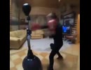 やじゅまんと見るボクサー