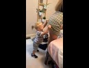 やじゅまんと見る私気になります