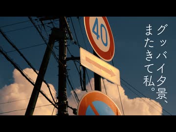 グッバイ夕景、またきて私。/知声