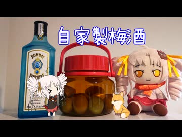 【ついなちゃんキッチン】自家製梅酒の味見に付き合わされるついなちゃん