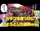 カサゴを煮つけにしようとした結果ｗｗ