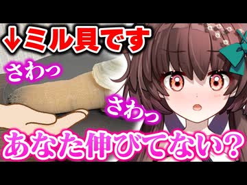 ミル貝をいかがわしい方法で起こそうとし放送事故になるVtuber【Vtuber/切り抜き】