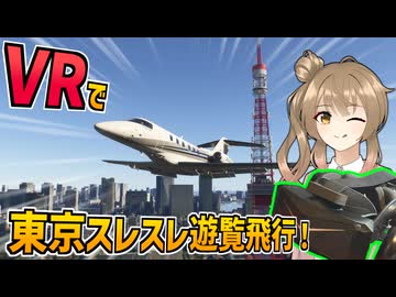 ビジネスジェットで東京スレスレ遊覧飛行！【Pimax Crystal Light】