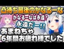 かなたんの凸待ちに凸るルーナ姫【天音かなた/姫森ルーナ/ホロライブ切り抜き】