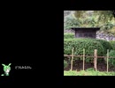 丸岡城行ってきた