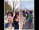 やじゅまんと見る青春